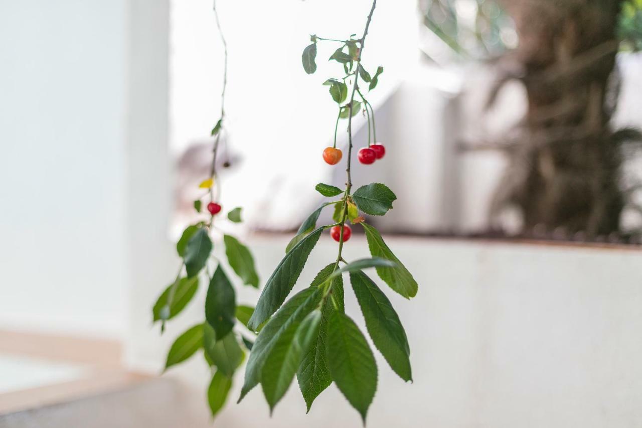 Fragrant Garden Apartment Lisbon Luaran gambar
