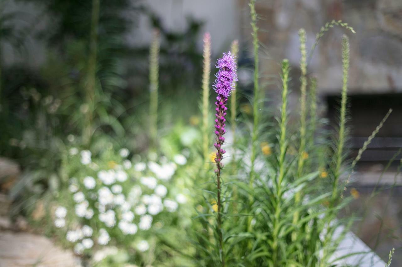 Fragrant Garden Apartment Lisbon Luaran gambar